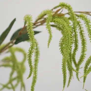 Amaranthus spray 100cm green detail, Emerald Eternal Green B.V., tuincentrumoutlet.com