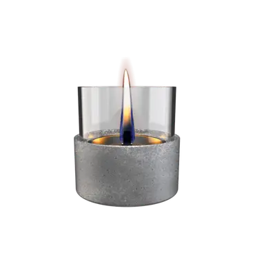 Aster Lava Grey, Tenderflame, tuincentrumoutlet.com