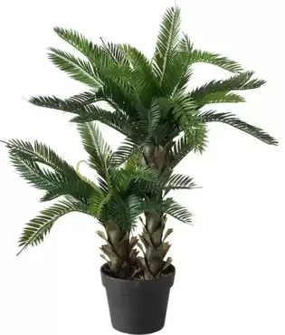 Boltze kunstplant in pot Palmfarn, Palm, Indoor
