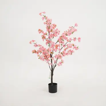 Kersenbloesemboom h135cm roze