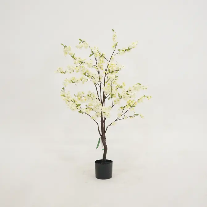 Kersenbloesemboom h135cm wit, Emerald Eternal Green B.V., tuincentrumoutlet.com