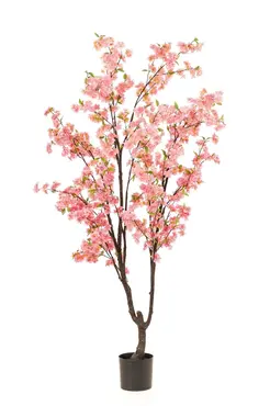 Kersenbloesemboom h210cm roze