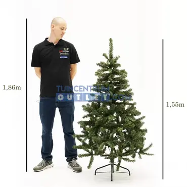 Kerstboom Charlton h155 d91 cm groen 2, Edelman, tuincentrumoutlet