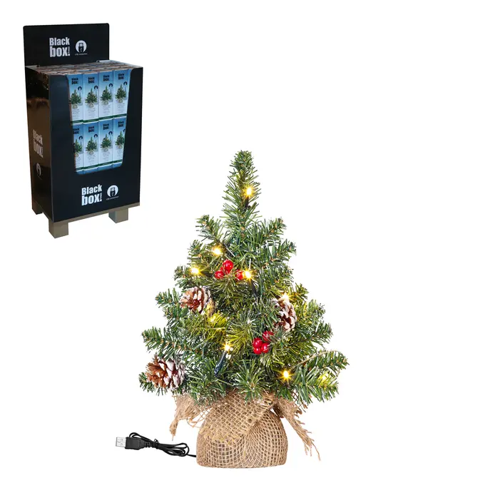 Kerstboom Creston (10L, USB, D15 x H30), Black Box Trees, Tuincentrum Outlet