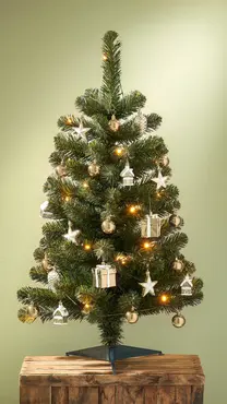 Kerstboom Joy (D50 x H90) Champagne - Sfeerbeeld, Black Box Trees, Tuincentrum Outlet