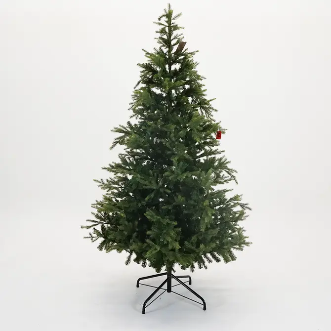 Grandis fir l240cm groen, Everlands, Tuincentrumoutlet