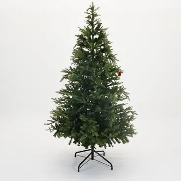 Grandis fir l240cm groen, Everlands, Tuincentrumoutlet