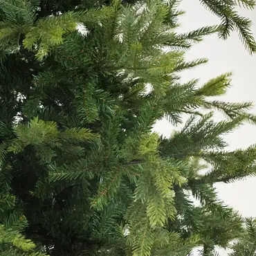 Grandis fir l240cm groen, Everlands, Tuincentrumoutlet