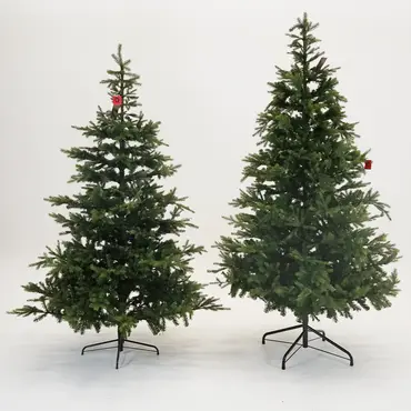 Grandis fir l240cm groen, Everlands sfeer, Tuincentrumoutlet