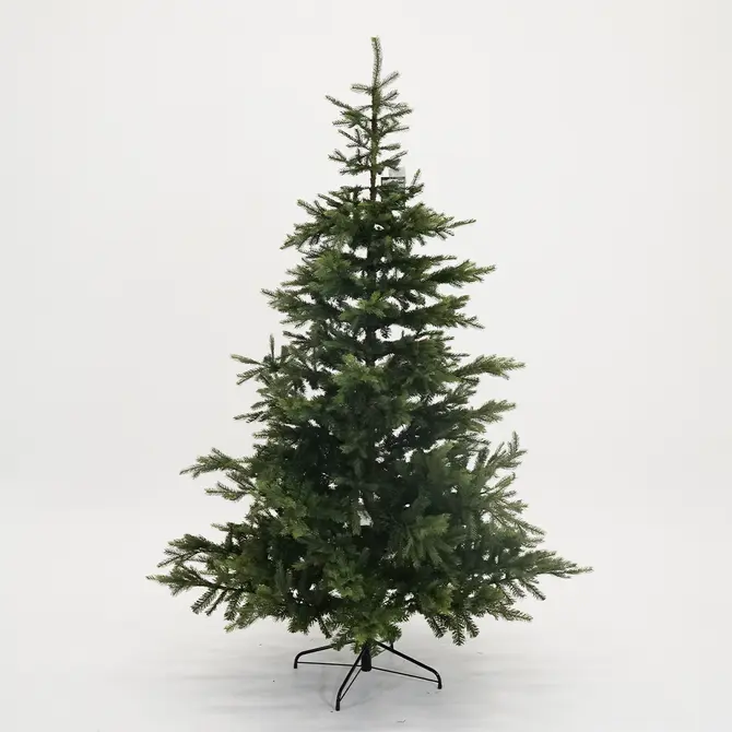 Grandis fir d172h270cm groen, Everlands, Tuincentrum Outlet