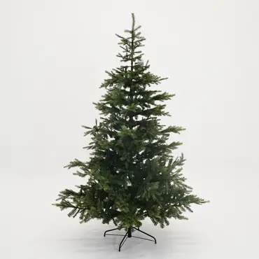 Grandis fir d172h270cm groen, Everlands, Tuincentrum Outlet