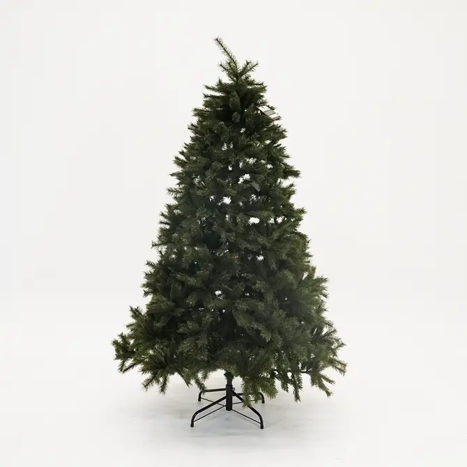 Malmo spruce d157h240cm groen/wit, Everlands, tuincentrumoutlet