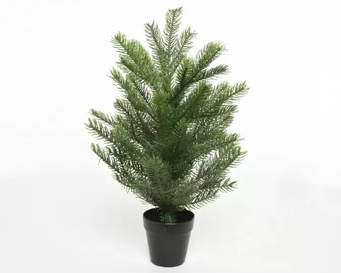 Grandis miniboom pot h75cm groen, Everlands, www.tuincentrumoutlet.com