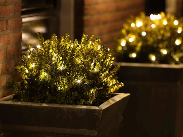 Netverl. buxus led d80cm-120l w.wit - afbeelding 3