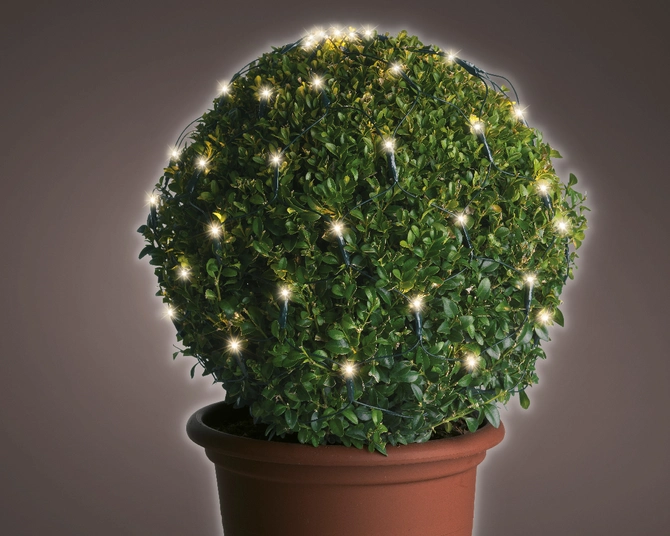 Netverl. buxus led d80cm-120l w.wit - afbeelding 1