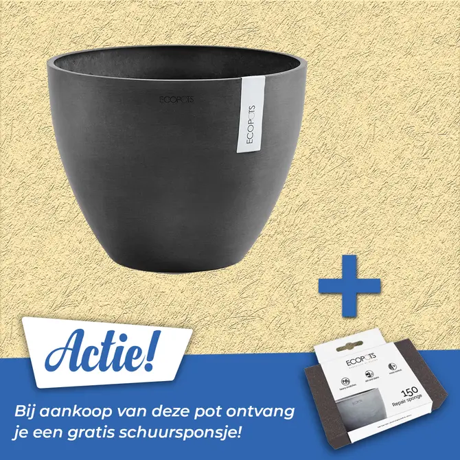 Pot antwerpen donkergrijs d30cm, Ecopots, Tuincentrumoutlet