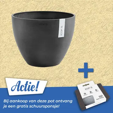 Pot antwerpen donkergrijs d30cm, Ecopots, Tuincentrumoutlet