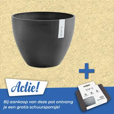 Pot antwerpen donkergrijs d40cm, Ecopots, Tuincentrumoutlet