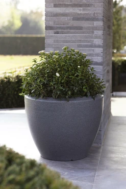 Pot Bol Arc Granite 60x48 Antraciet - Sfeerbeeld 2, Capi Europe, Tuincentrum Outlet