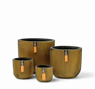 Pot Bol Groove NL 54x52 Zwart Goud - Formaten, Capi Europe, Tuincentrum Outlet