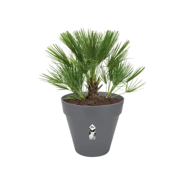 loft urban rond wielen 60cm antraciet potplant, Elho, tuincentrumoutlet